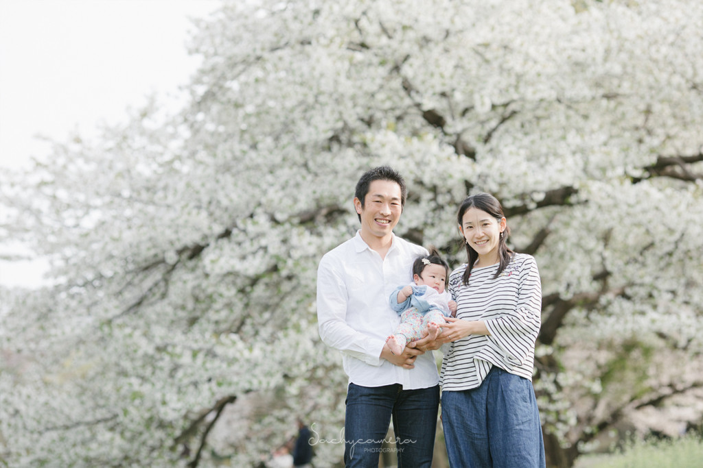 桜の樹の下で赤ちゃんとパパママ