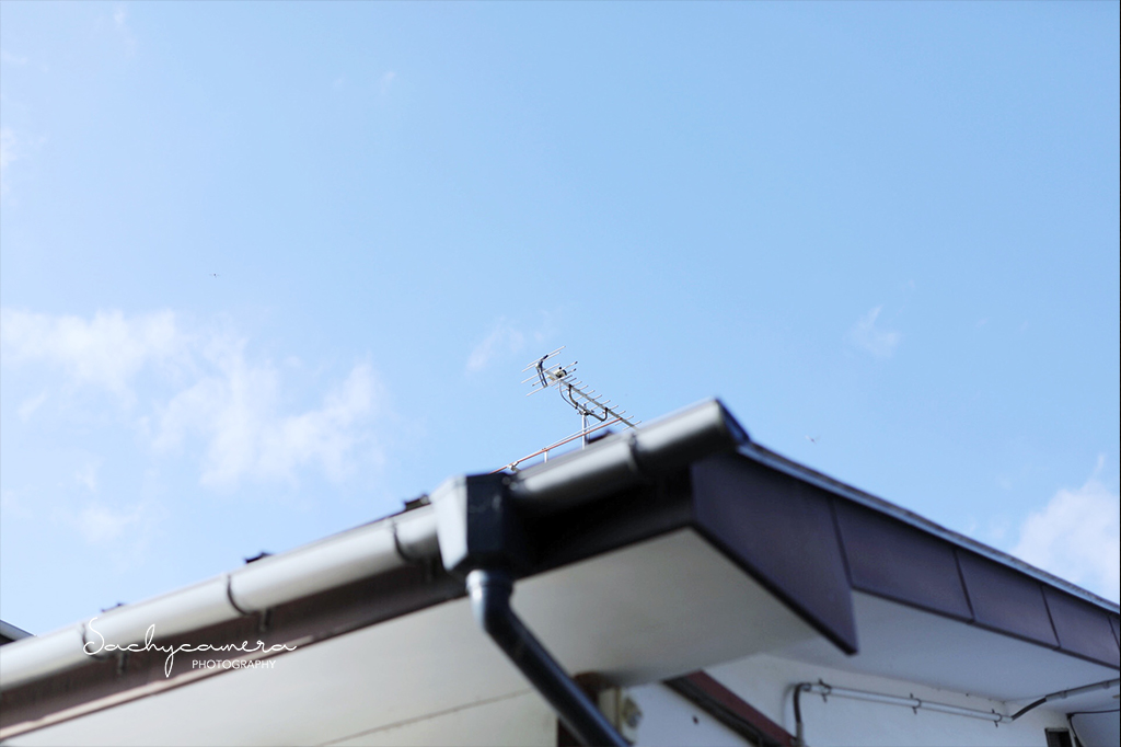 福島へ日帰りで撮影に行ってきました – サチカメ！