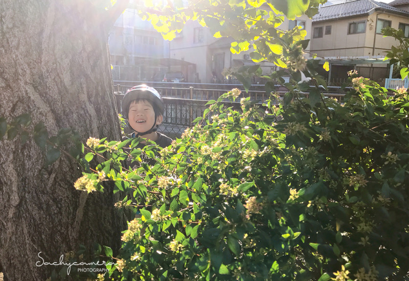 わかりやすいかくれんぼ