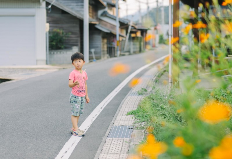 散歩中オレンジ色の花と男の子