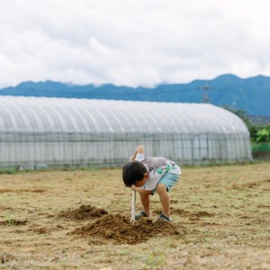 田舎の子供の遊び方。畑で穴掘り！