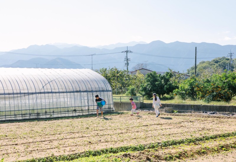 畑で走り回る子供たち